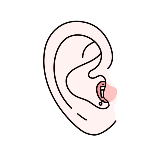 CIC (1)