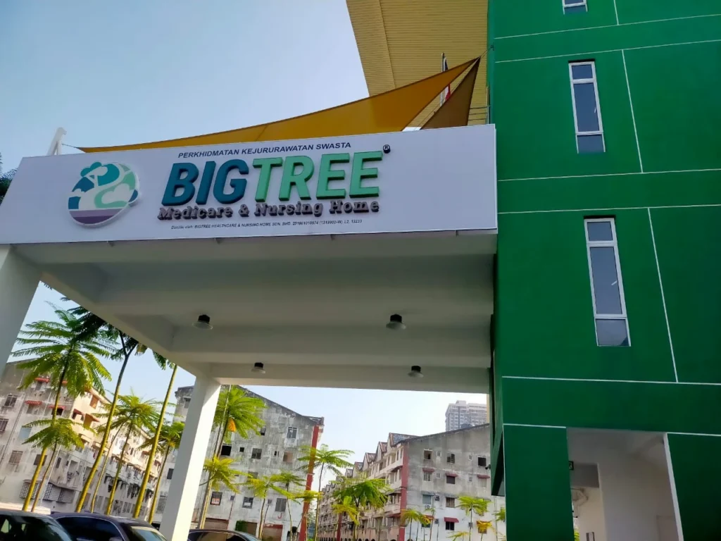 Ghcc Melaka Big Tree 5